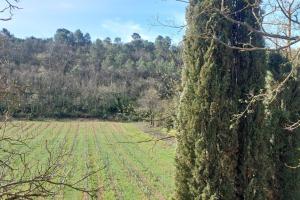 Bel appartement domaine viticole