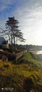 Appartements Gite Ty Goelo Morlaix : photos des chambres