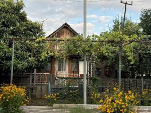 cottage in Chakvi