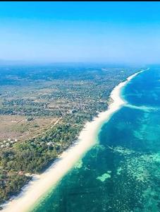 Tradewinds Apartment