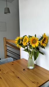 Sielska Dolina pod Ślężą