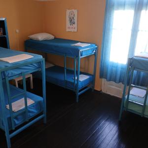 Bed in Female Dormitory Room room in Heraklion Youth Hostel