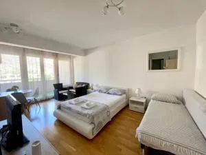 Little bee - 布拉加伊