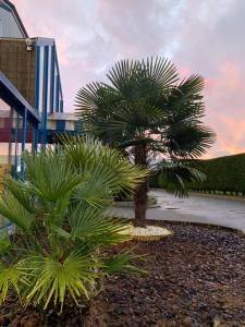 Hotels Europe Hotel : photos des chambres