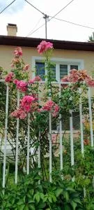 PANORAMA Centar by Vasvy - Koševo