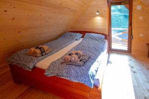 Brvnara Tarski pogled