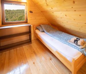 Brvnara Tarski pogled