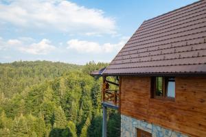 Brvnara Tarski pogled