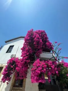 Burcu Guest Home - Çağlayan