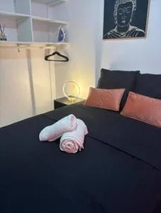 Studio SHIVA Cayenne - Baduel