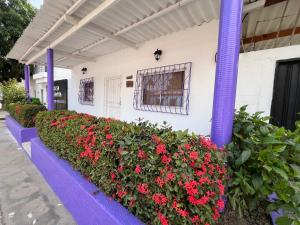 Casa Mahatma Palomino