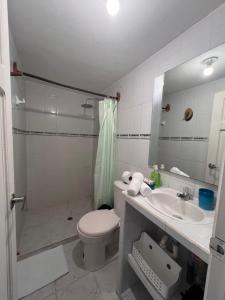 Casa Mahatma Palomino