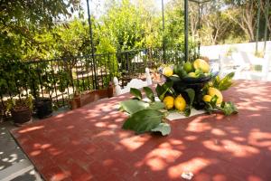 Caminito de Rey The LLanos Paradise