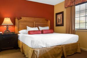 Take in Natures Beauty with lots of resort outdoor activities in 1BD condo