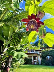 Chic Lakefront Retreat Casa Diamante Atitlan