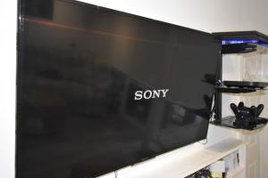 Luxury Hot Tub Entertainment Room Central Park