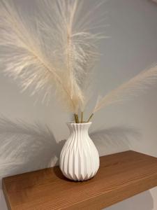 Appartements Le Ptit nid doux : photos des chambres