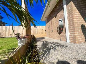 King Parrott Phillip Island