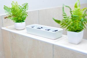 Home for Us Self catering