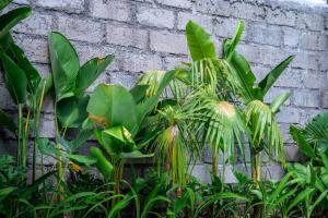 SooBali Mint Cottage Sanur 1BR