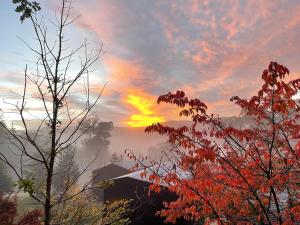 Snowgums Mountain Retreat