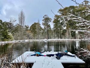 Snowgums Mountain Retreat