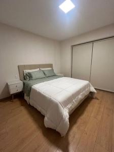 Hermoso Depa Estreno San Miguel