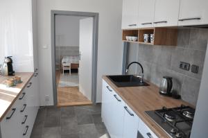 Pohoda apartmán Třeboň