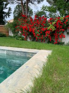 Villas Maison familiale en OCCITANIE : photos des chambres