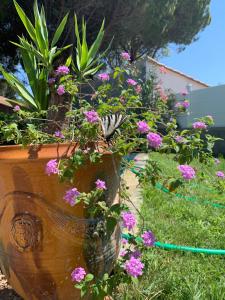 Villas Maison familiale en OCCITANIE : photos des chambres
