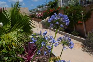 Villas Residence de Tourisme Mare e Macchia : photos des chambres