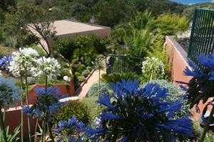 Villas Residence de Tourisme Mare e Macchia : photos des chambres