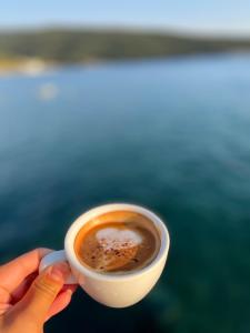 ALOHA Beach front Vacation Rental