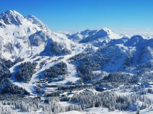 Villa Hubertus Enzian