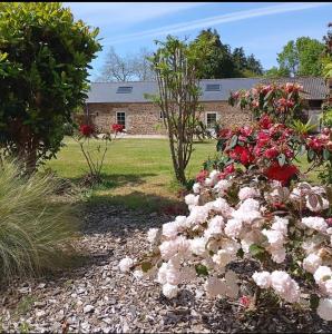 Maisons de vacances La metairie du rumain : photos des chambres