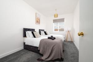 Gorgeous Apartment - Parking - Sleeps 4