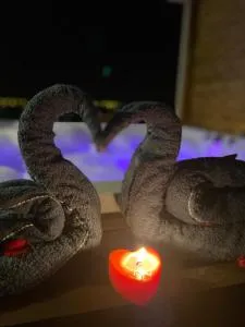 Bella Vista - Bezkese