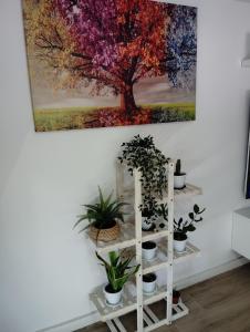 Apartamento Plaza Palmeras2