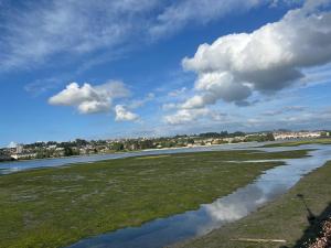 Mar y Playa con Jardín