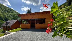 Cabana Lazea