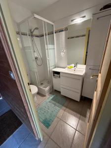 Appartements Studio face aux pistes avec wifi : photos des chambres