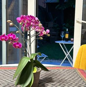 Monolocale con giardino