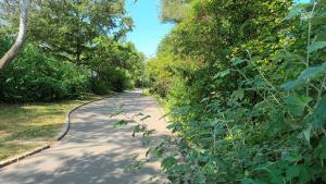 D57 - Appartments Park - UBahn