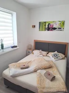 Old Factory Living - 艾施河畔赫希施塔特