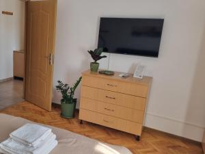 Apartament Tudor