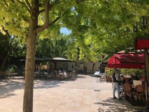 Appartements Nice flat St Germain en Laye centre 30 minutes to Paris : photos des chambres