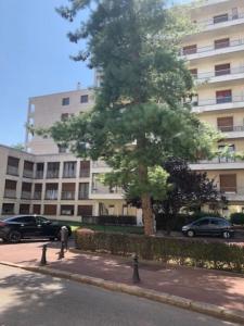 Appartements Nice flat St Germain en Laye centre 30 minutes to Paris : photos des chambres