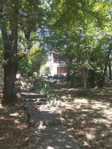 Apartman Kora 