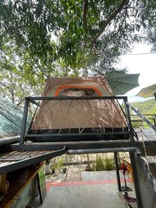 Mèo Home - Bụi Homestay