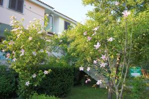 Appartamento Gli Ontani img62